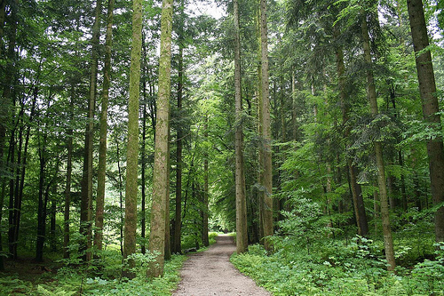 Risnjak National Park